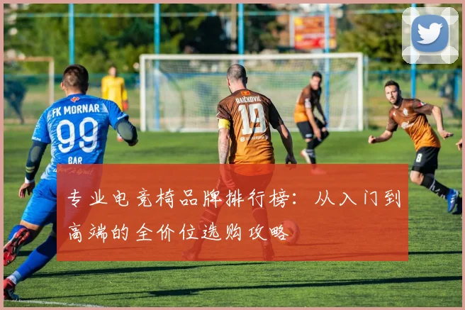 专业电竞椅品牌排行榜：从入门到高端的全价位选购攻略