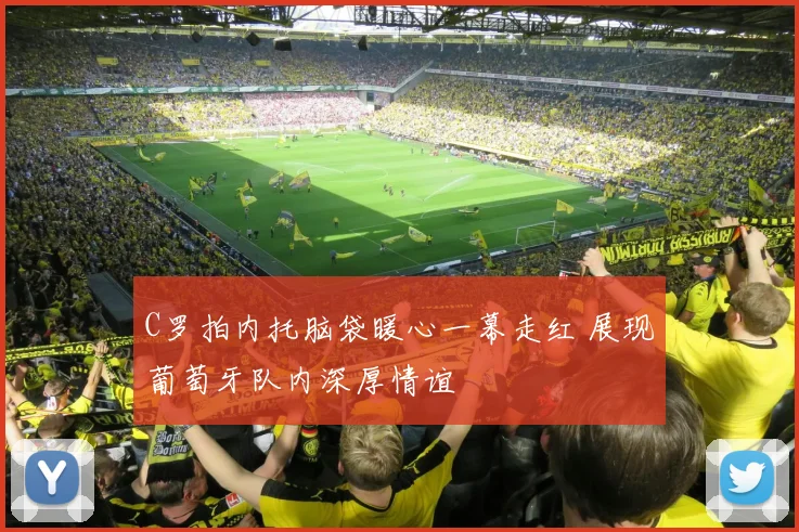 C罗拍内托脑袋暖心一幕走红 展现葡萄牙队内深厚情谊